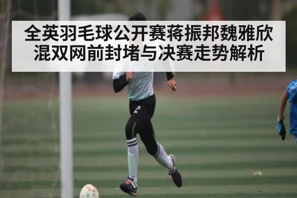 全英羽毛球公开赛蒋振邦魏雅欣混双网前封堵与决赛走势解析