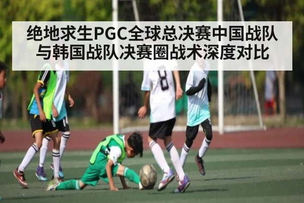 绝地求生PGC全球总决赛中国战队与韩国战队决赛圈战术深度对比